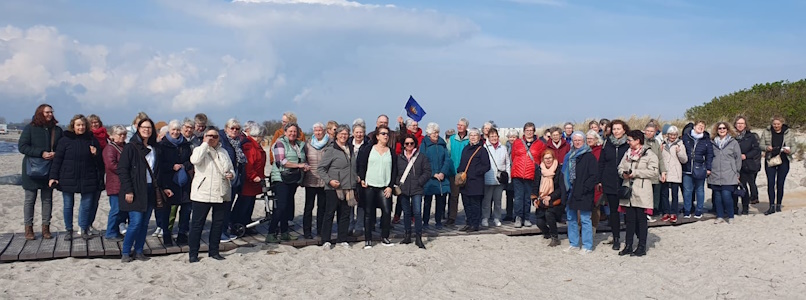 Rapsbl�te auf Fehmarn