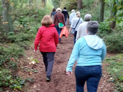 Waldspaziergang 2022